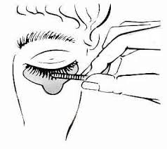 eyelash and eyebrow tint