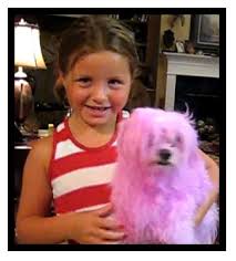 dog hair color
