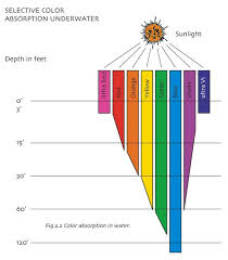 light absorption