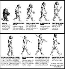 darwin evolution theory