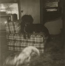 ghosts pics