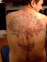 pine tree illustrations