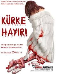 Hayvan katliam� videolar� 