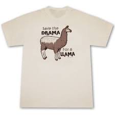 funny offensive t shirts