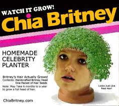 chia obama pet
