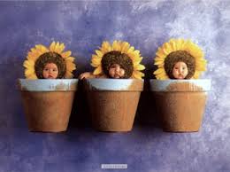 anne geddes calendars