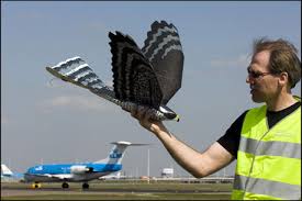 radio controlled bird