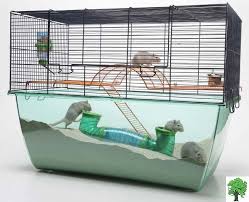 gerbil cages
