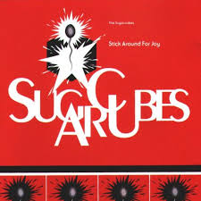 Bjork - Stick Around For Joy