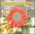 Various Artists - Hear It Now! The Sound Of The '60s