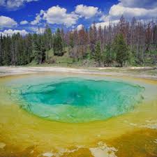 Yellowstone Geyser