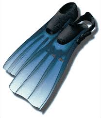 divers fins