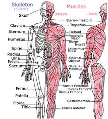 muscle tic