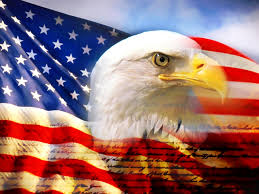 bald eagle flag