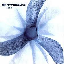 afro celt seed