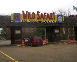 six flag wild safari