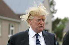 donald trump toupee