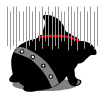 icon dookdik