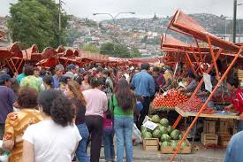 fruit and vegetable stands