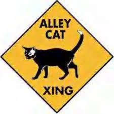 cat crossing sign
