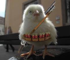 dont mess with me