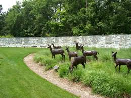 the woodlands