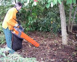 leaf vac