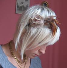 feather picture