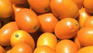 http://t0.gstatic.com/images?q=tbn:4WA84_zaeu1atM:http://arxxiduc.files.wordpress.com/2007/07/kumquats.jpg