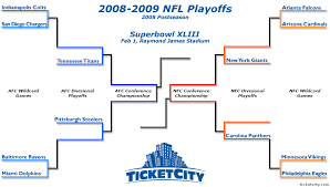 2008 nfl playoff picture