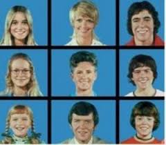 brady bunch series