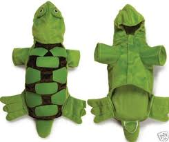 franklin the turtle costume