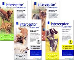 heartworm pill
