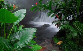 spa natural