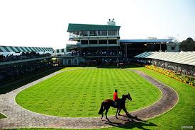 turf club