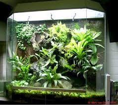 vivarium