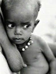 ONU – Governo Global através da FAO, OMC, OMS, UNICEF