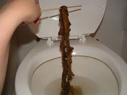 cleansing bowel