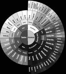 coffee flavor wheel