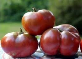 cherokee purple tomatoes