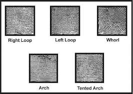 types fingerprints