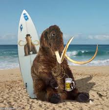 woolly mammoth