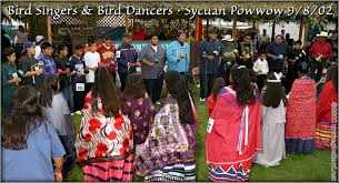bird dancing