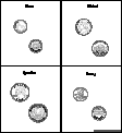 woodpecker printable pictures