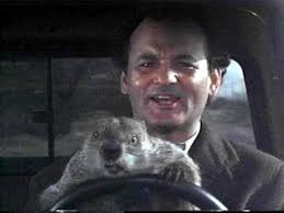 Groundhog Day with Bill