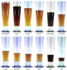 south african beer