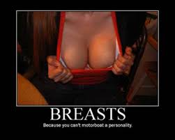 funny videos