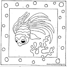 classifying organisms printables