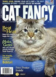 cats magazine