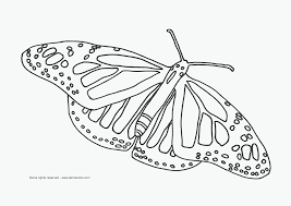 butterfly coloring books